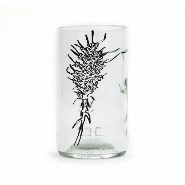 Flora Cajón transparentes - Imagen 2