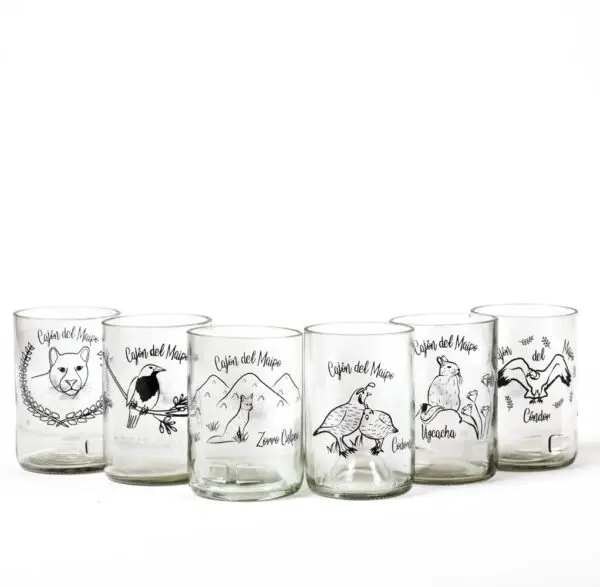 Six Pack Fauna Cajón Transparentes