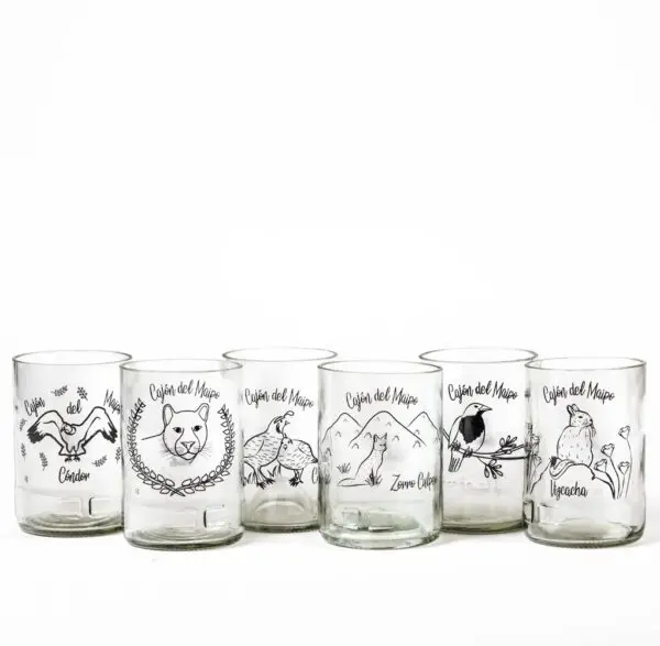 Six Pack Fauna Cajón Transparentes - Imagen 2