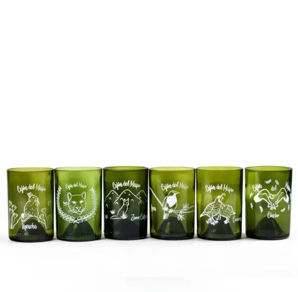 Six Pack Fauna Cajón Verdes - Imagen 2