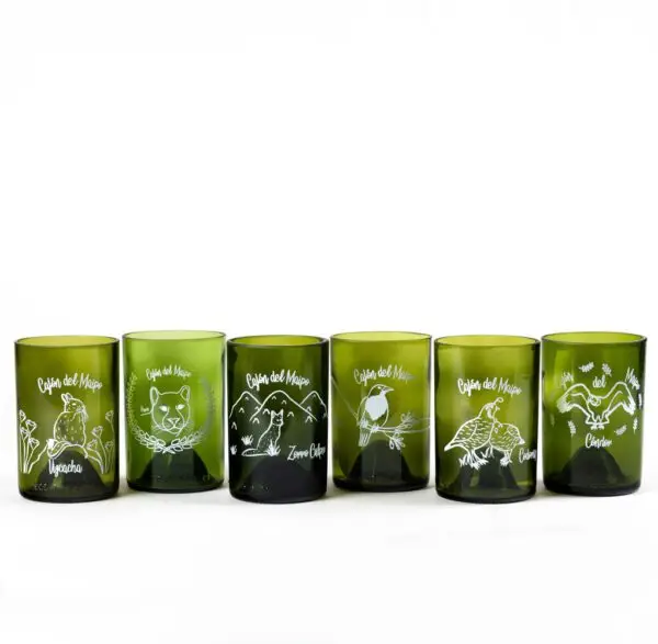 Six Pack Fauna Cajón Verdes