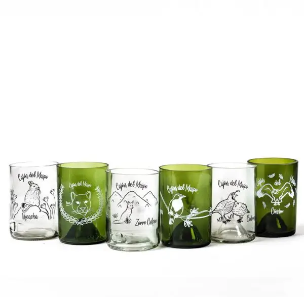 Six Pack Fauna Cajón Mixtos